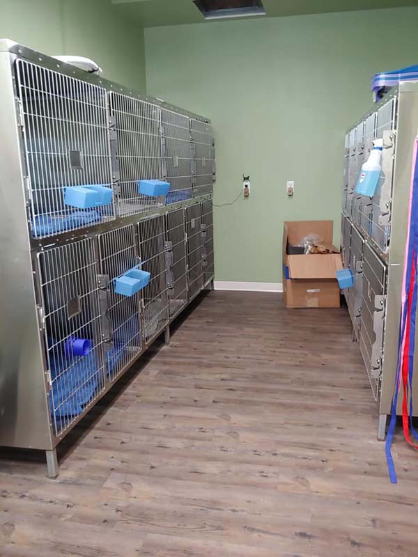 Braintree Veterinary Care kennels